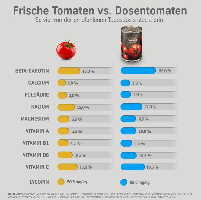 Die Ergebnisse der Untersuchung im Vergleich Die Ergebnisse der Untersuchung im Vergleich